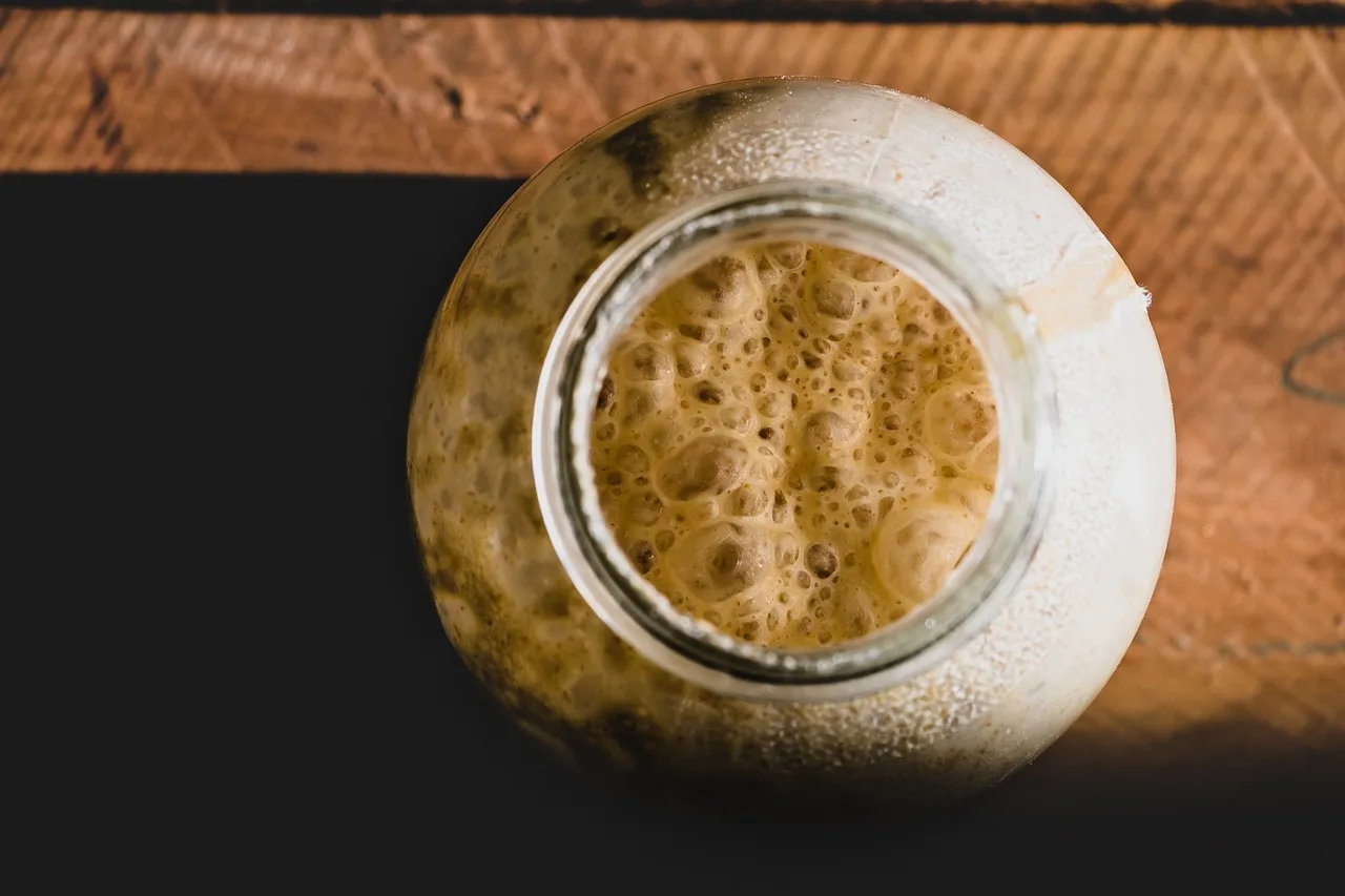 Understanding Yeasts: Types and Temperature Effects in Baking 1 bread, food, bake, bakery, wheat, flour, yeast, dough, sourdough, homemade, culinary, brown bread, brown wheat, yeast, yeast, yeast, yeast, yeast, sourdough, sourdough